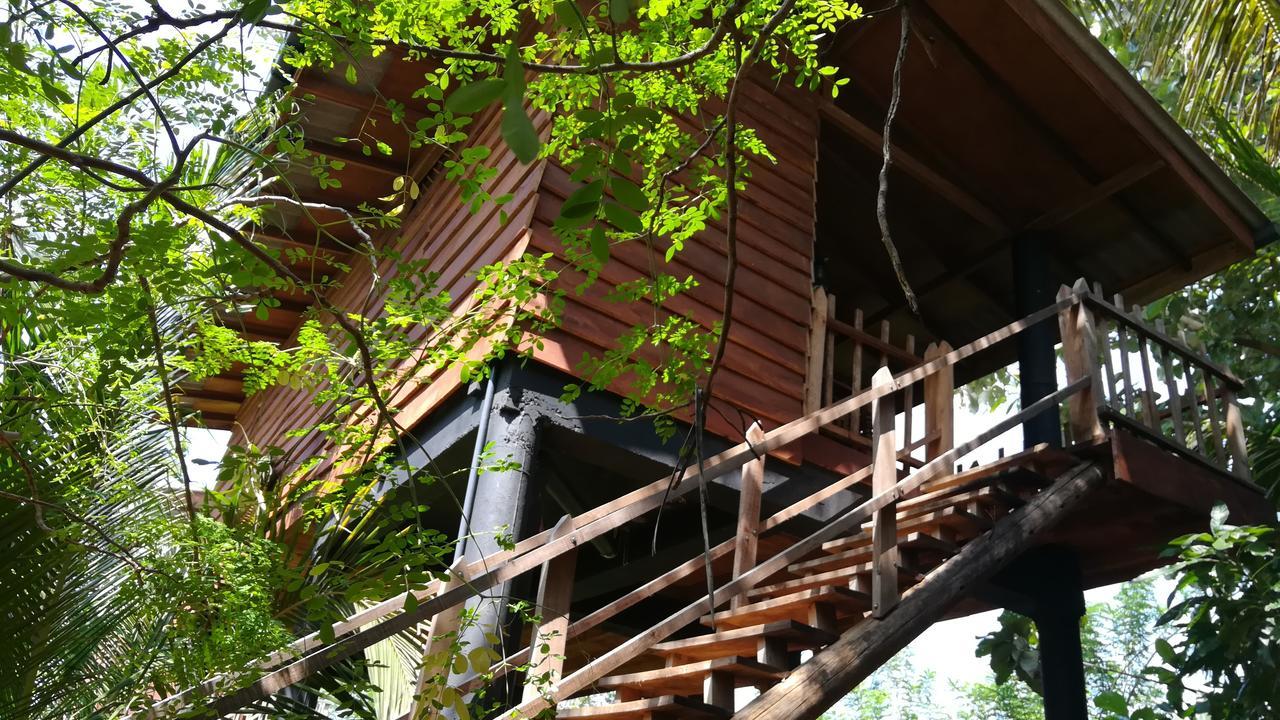 Sigiri Sarilco Rock View Treehouse Villa Sigiriya Eksteriør billede