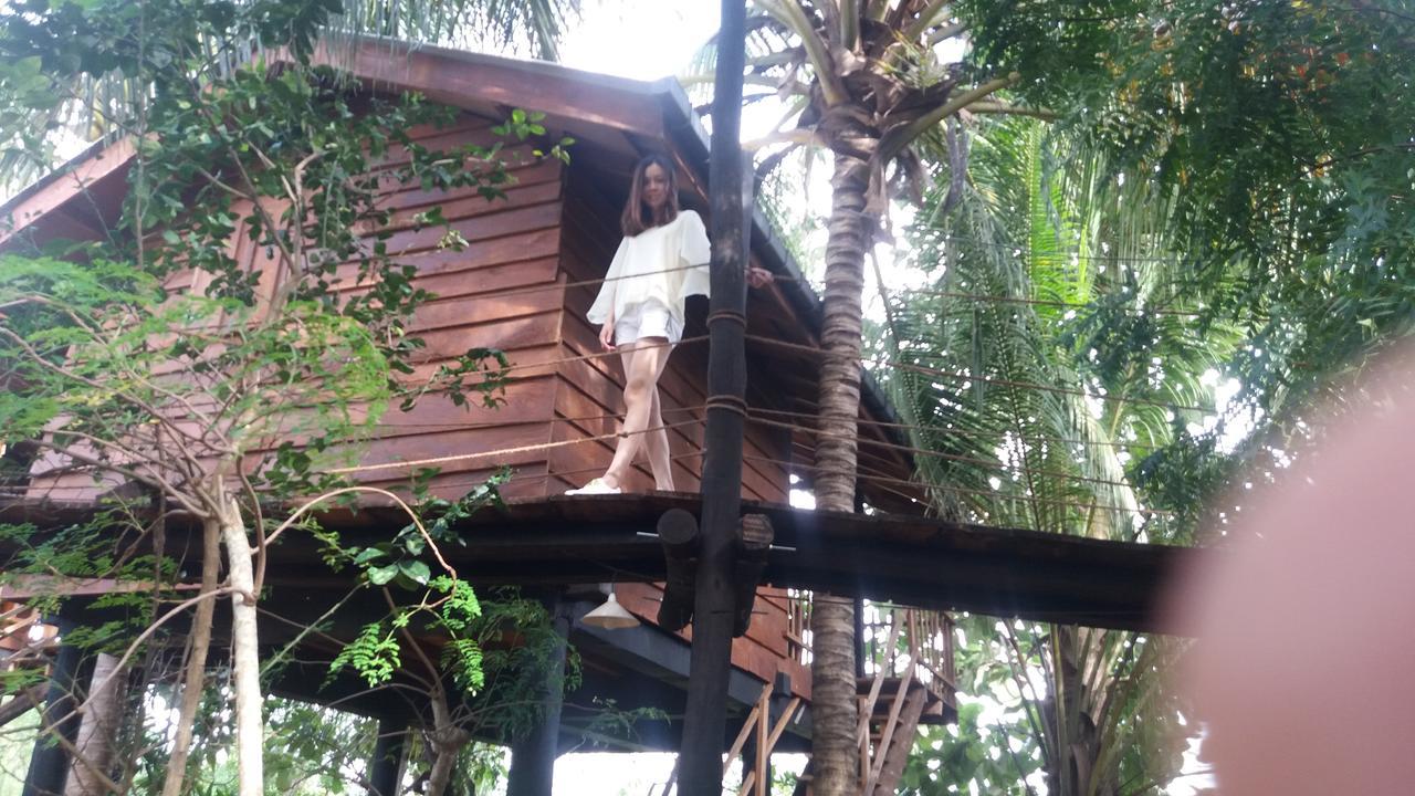 Sigiri Sarilco Rock View Treehouse Villa Sigiriya Eksteriør billede